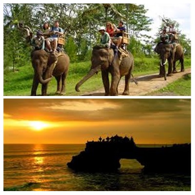Bali Elephant Ride and Tanah Lot Tour