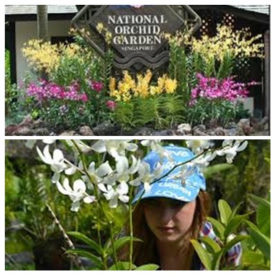 Bali Orchid Garden Tour