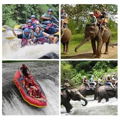 Bali Rafting and Elephant Ride Tour