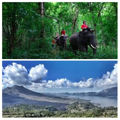 Bali Elephant Ride and Kintamani Tour