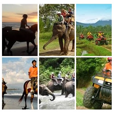 Bali Horse Riding, Elephant and ATV Ride Tour