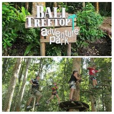 Bali Treetop Adventure Tour